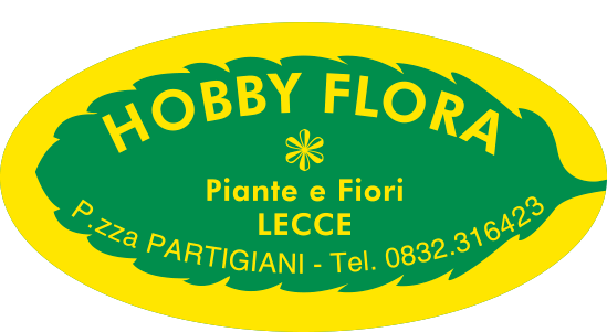 Hobby flora servizi s.r.l.