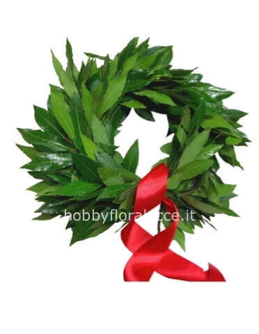 Cordoncino di alloro per laurea con fiocco rosso