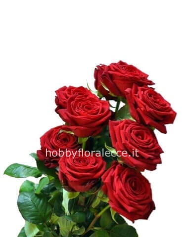Rose colore rosa 60cm da comporre in mazzo per numero di steli.
